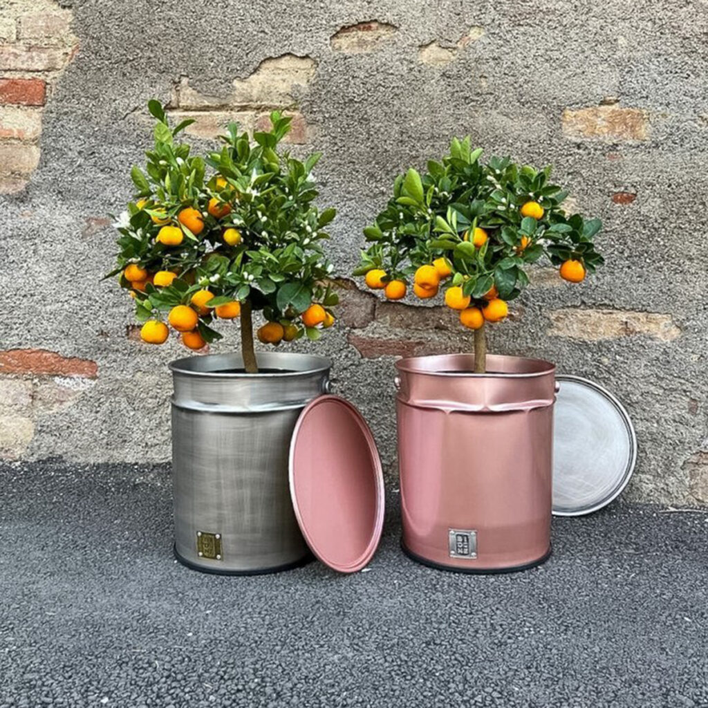 vasi per piante e fiori di design
